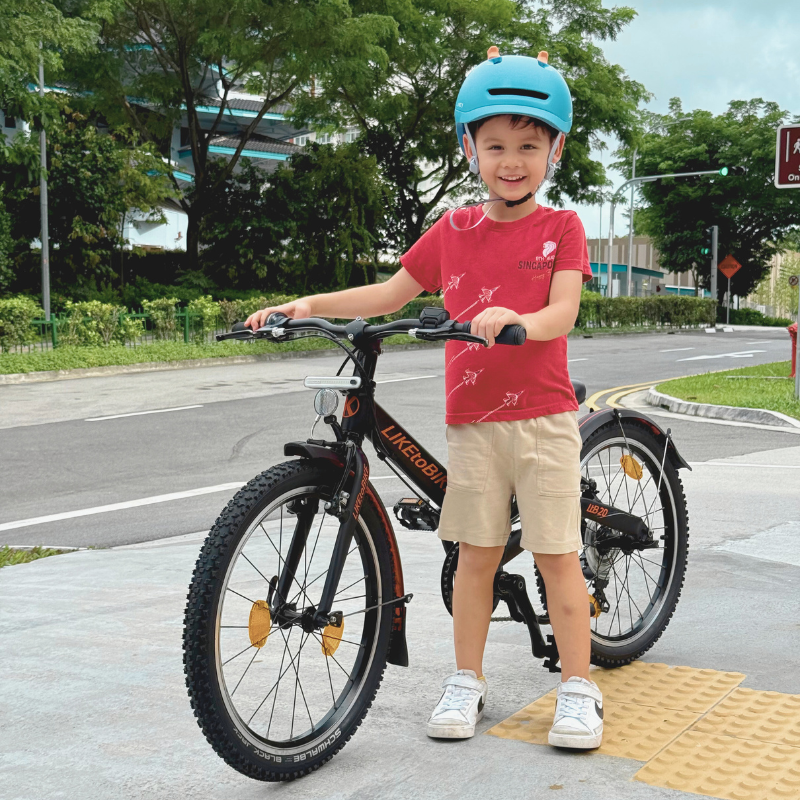 LTB 20SR Street | KOKUA Bikes – Kokua Bike Singapore